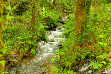 Mills of the Medio River, Villamayor, Miño, La Coruña