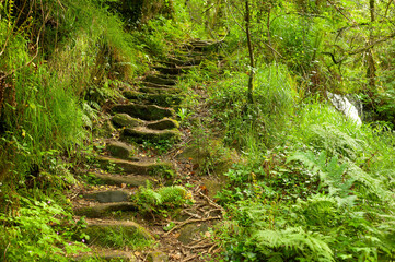 Mills of the Medio River, Villamayor, Miño, La Coruña