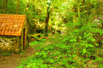 Mills of the Medio River, Villamayor, Miño, La Coruña