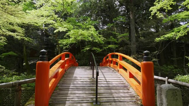京都　北野天満宮　もみじ苑の鶯橋　新緑