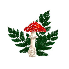 Fly Agaric mushroom and Fern leaves isolated on transparent background, hand drawn marker illustration in watercolor technique. For visual aids, books, postcards, prints for clothes, mugs, shoppers