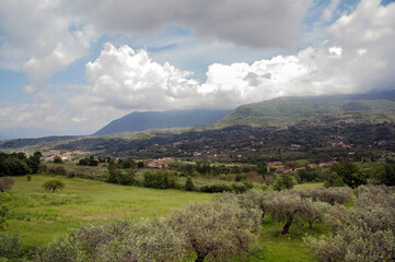 Olive tree groves in the tableland of the valley of the Taburno-Camposauro mountain massif overlooked by cumuliform clouds. Sant’Agata dei Goti, Benevento, Italy.