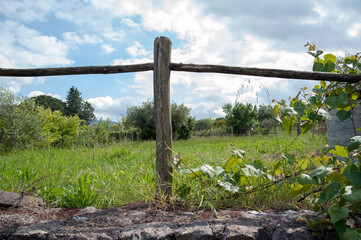 Countryside: field border with picket fence.