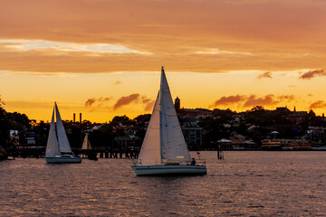 Sunset Yacht racing & Port Jackson in Sydney, New South Wales, Australia