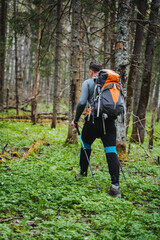 A hiker with poles exploring lush forest terrain amidst tall trees and greenery