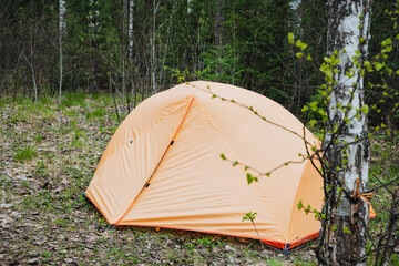 An orange tent provides shade in the forest, surrounded by trees and plants