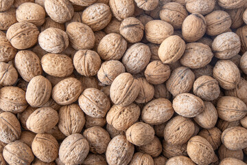 Walnut in shell. Background view from above. Healthy food top view