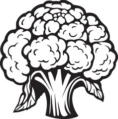 Broccoli simple thin line icon vector illustration