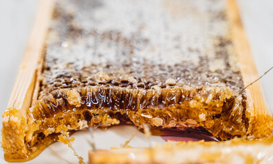 natural honey in a honeycomb, a juicy appetizing large piece lies cut off and delicious honey...