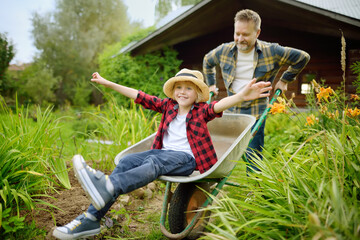 Wheelbarrow pushing by dad in domestic garden on warm sunny day. Active outdoors games for family...