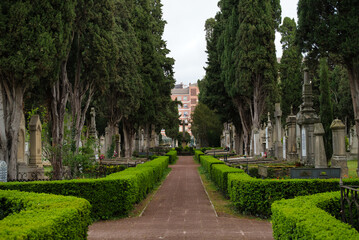  Cemetery aisle, gravestone, cemetery, burial, death, memory, mourning, sadness, grave. Vertical photo of a cloudy day
