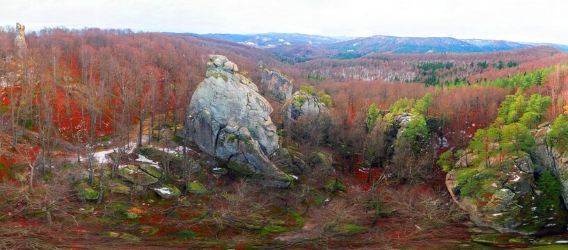 Dovbush rocks in winter in Bubnyshche, Carpathians, Ukraine, Europe. Huge stone giants rise in the snowy transparent beech forest, all-round panoramic views are unique without leaves