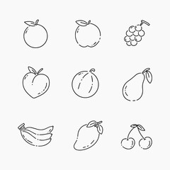 Fruits doodle line vector illustration