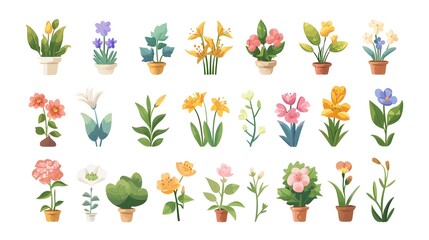 Assortment of Vibrant Potted Flowers and Plants for Decorative Indoor and Outdoor Spaces