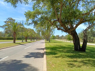 A beautiful and quiet place to enjoy nature and stunning green views