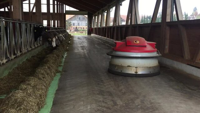 Bauernhof der Zukunft - automatisierte Rinderhaltung