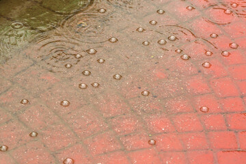 Heavy persistent rain, air bubbles in a rain puddle.