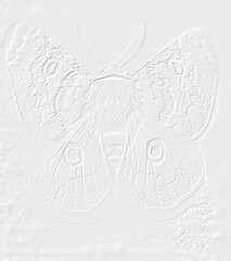 Fototapeta premium embossed image of butterfly