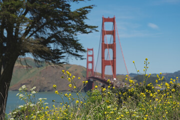 World famous red steel suspension bridge in San Francisco port entrance with Golden Gate State park...