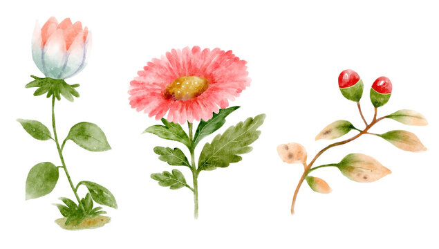 Prehistoric flower in jurassic peroid . Watercolor painting style ..Illustration .