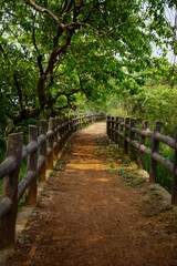 The path leading towards forest range.