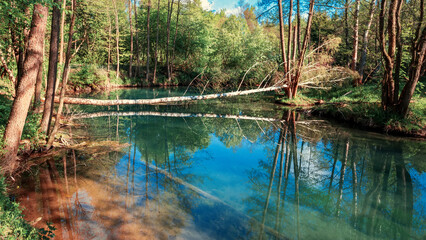 Beautiful forest lake in Russia. Landscape with a lake on a sunny summer day