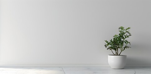 Minimalistic D Rendering of a Living Room or Office Interior with a Mini Plant on a White Wall A Modern Mockup Template