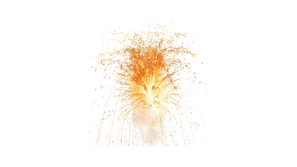 Fireworks of various colors and shapes burst open in the black sky.