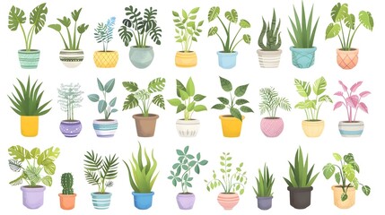 Diverse Collection of Potted Houseplants and Greenery for Decorative Displays in Modern Interiors