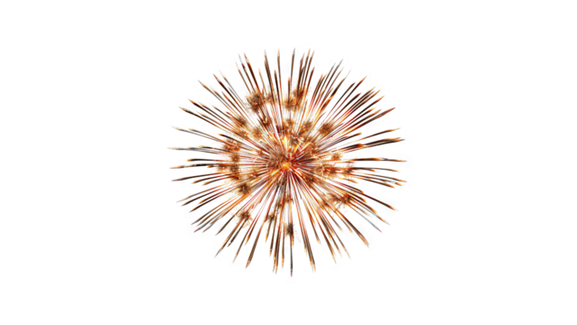 The image is a photograph of a firework exploding in the night sky