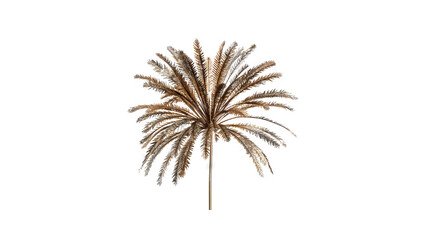 The photo of realistic palm tree leaves in brown color on transparent background.