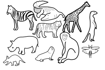 animal safari zoo forest natural