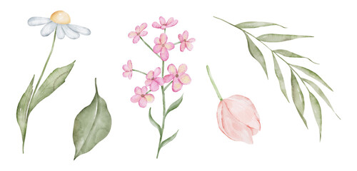 Set of watercolor elements flower collection. Hand drawn floral illustrations isolated on white background