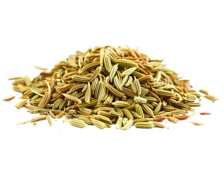 A Pile of Fennel with a Transparent Background PNG