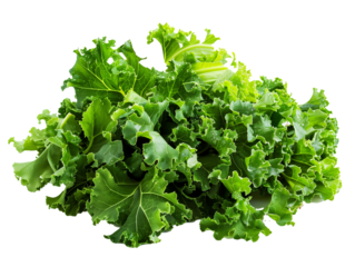 A Pile of Mustard Greens with a Transparent Background PNG