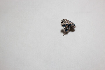 Vintage stylish female gem and jewelry