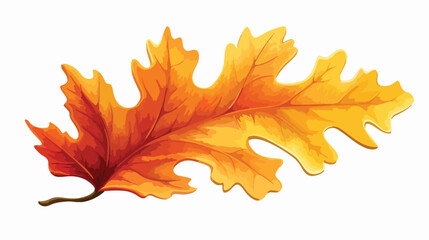Beautiful yellow red colored autumn oak leave vecto