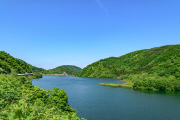 Fototapeta premium 白川湖 青空と残雪と新緑の水没林 