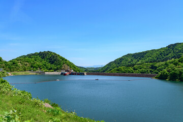 白川湖 青空と残雪と新緑の水没林

