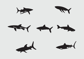 minimal Caribbean Reef Shark black icon illustration design