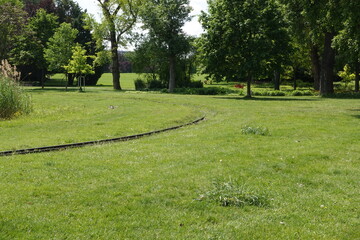 緑の中を走るレールと佇むカモ