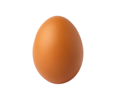 A single brown egg sits on a white background.