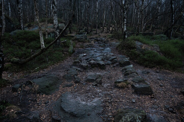 Gloomy and totally moody path lost in the foggy rocks with the best dark and mystic atmosphere in the north of Bohemia.