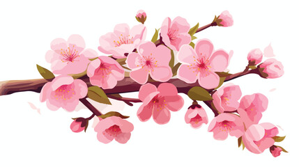 Branch of blooming sakura with flowers cherry bloss