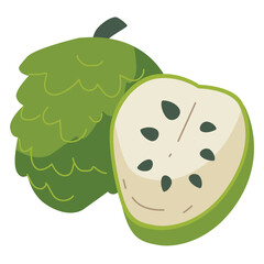 Cartoon sugar apple vector illustration, custard apple, sweetstop or anona, thai tropical fruit in flat design style, annona or cherimoya image 