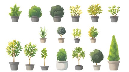 Lush Indoor Potted Plants Decorative Collection for Home and Office Spaces