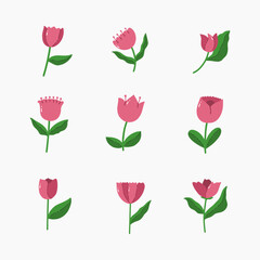 Tulip hand drawn vector illustration