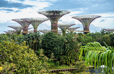 Gardens by the Bay featuring Supertrees and lush tropical plants. Stunning city garden scene with modern architecture, green oasis, and urban nature coexisting.