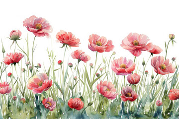 A watercolor of soft light peonies and dewy grass blades, set against a white background. Surrounded by a long field of vibrant wildflowers, this clipart-style image exudes a sense of peace,