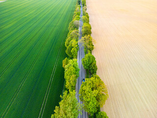 Aerial view of road through fields, one side lush grass, other side prepared for sowing. Drone shot...